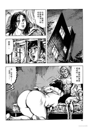 Kasama Shiro Kasama Shirou Sakuhinshuu Vol. 6 Nawa Fujin Chinese - Page 78
