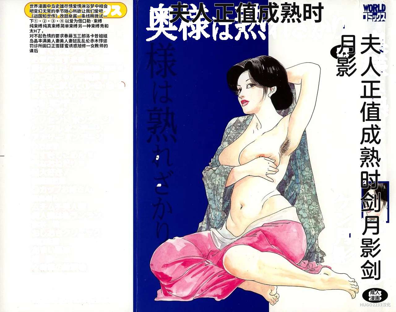 Ken Tsukikage Tanpen Gasshuu Chinese - Image 56