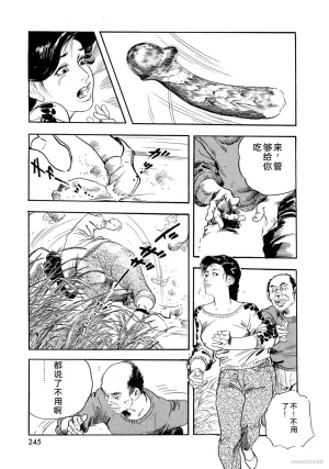 Ken Tsukikage x Hayami Yoshio Chanbara Tsuma Ritsuko Chinese - Page 250