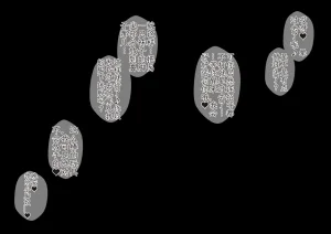 Kisarazu Teikoku JK Saratsu Kanojo no Ashi Dorei ni Otosarechau Full Voice CG Shuu 个人汉化 - Page 138