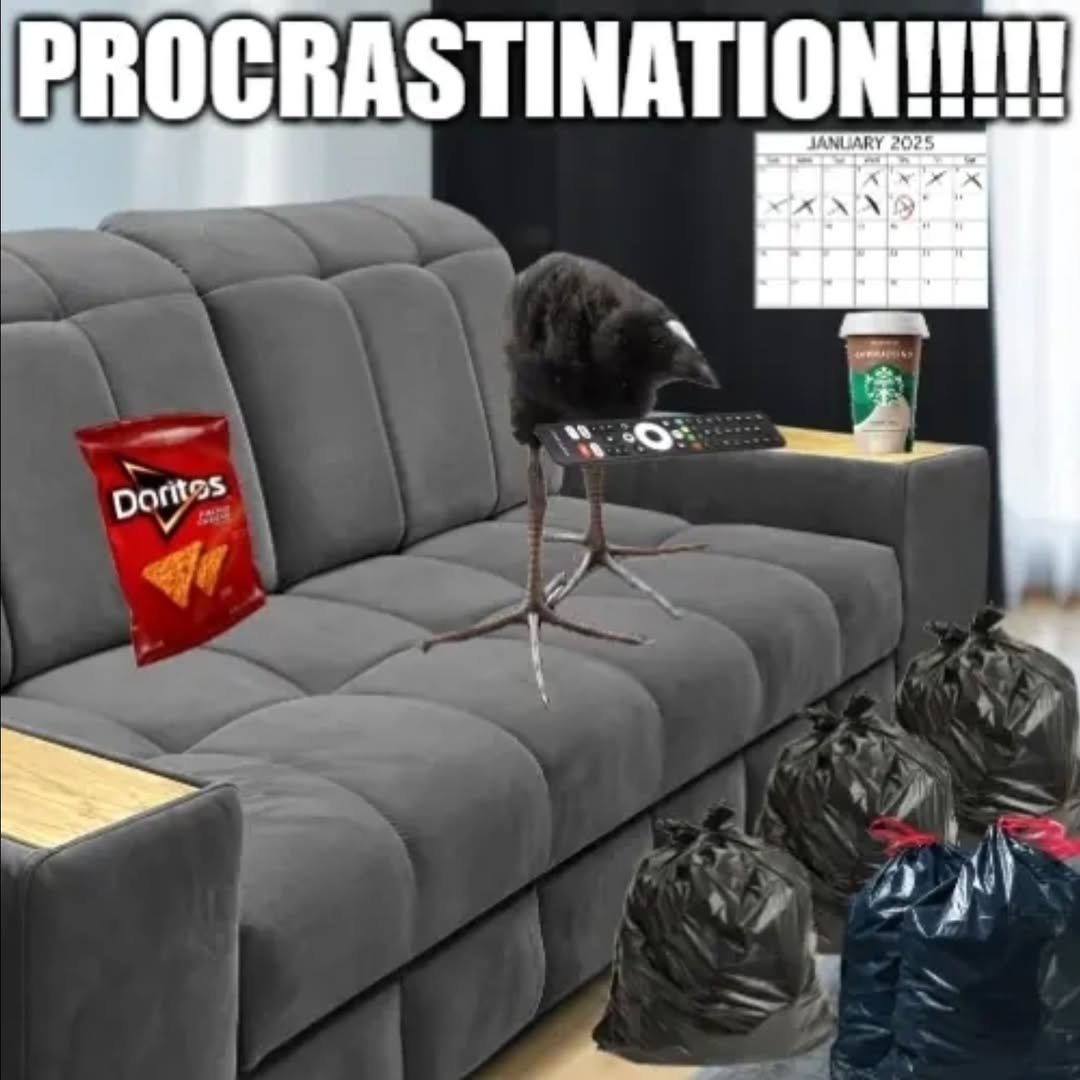 KOQUELUCHE - Image 108