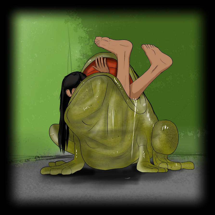 Korras curiosity - Image 10