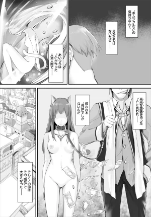 Kyougoku Touya Orokamono wa Nekomimi Dorei ni Izon suru Hajimete no Choukyou Seikatsu 01-35 - Page 67