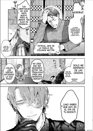 Kyouniku Kyoushoku Jagi Iwa Houtou Kizoku wa Moto Outaishihi to no Haramasekon de Isogashii - The Rake and The Once Crowned Princess Spanish MTL Digital - Page 10