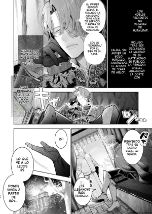 Kyouniku Kyoushoku Jagi Iwa Houtou Kizoku wa Moto Outaishihi to no Haramasekon de Isogashii - The Rake and The Once Crowned Princess Spanish MTL Digital - Page 19