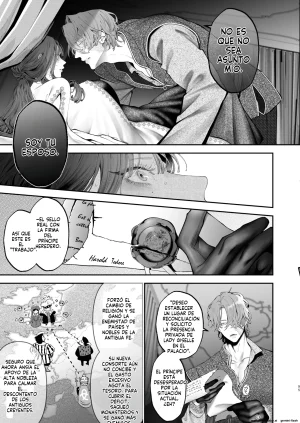 Kyouniku Kyoushoku Jagi Iwa Houtou Kizoku wa Moto Outaishihi to no Haramasekon de Isogashii - The Rake and The Once Crowned Princess Spanish MTL Digital - Page 94