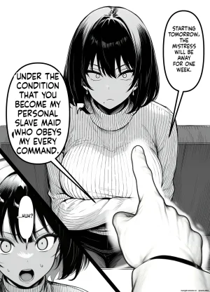 L-cup Housewife Onahole Slave Kanae 39 A Week of Being Driven Wild by Another Mans Cock MTL - Page 19