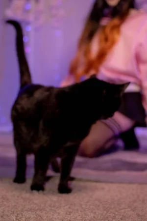 Labinnak Mangoloo - Cherry Blossom Nexuko - Page 29