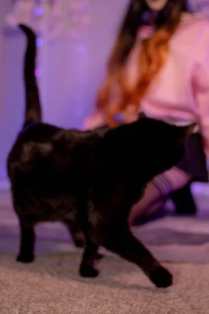 Labinnak Mangoloo - Cherry Blossom Nexuko - Page 31