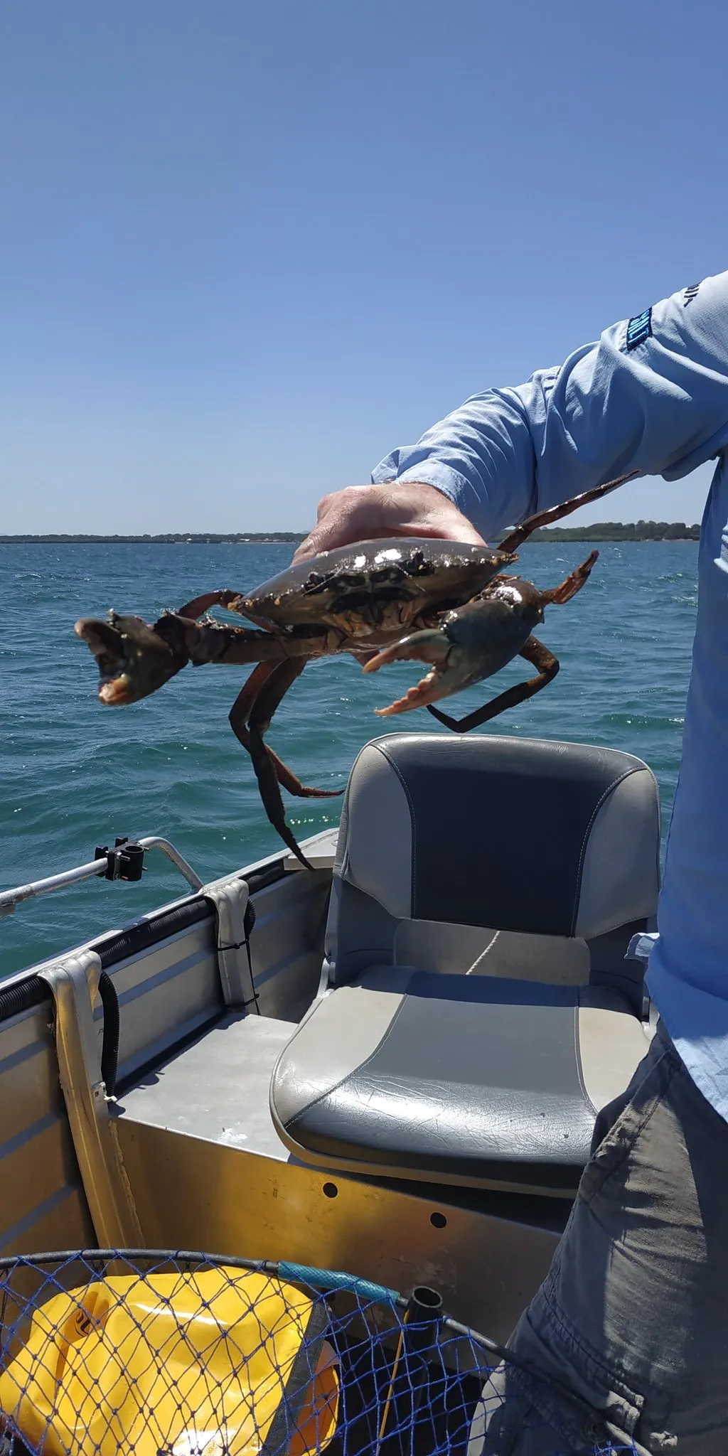 LaggyRR34 - Image 341