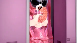 LATEX rubberratory - Page 251