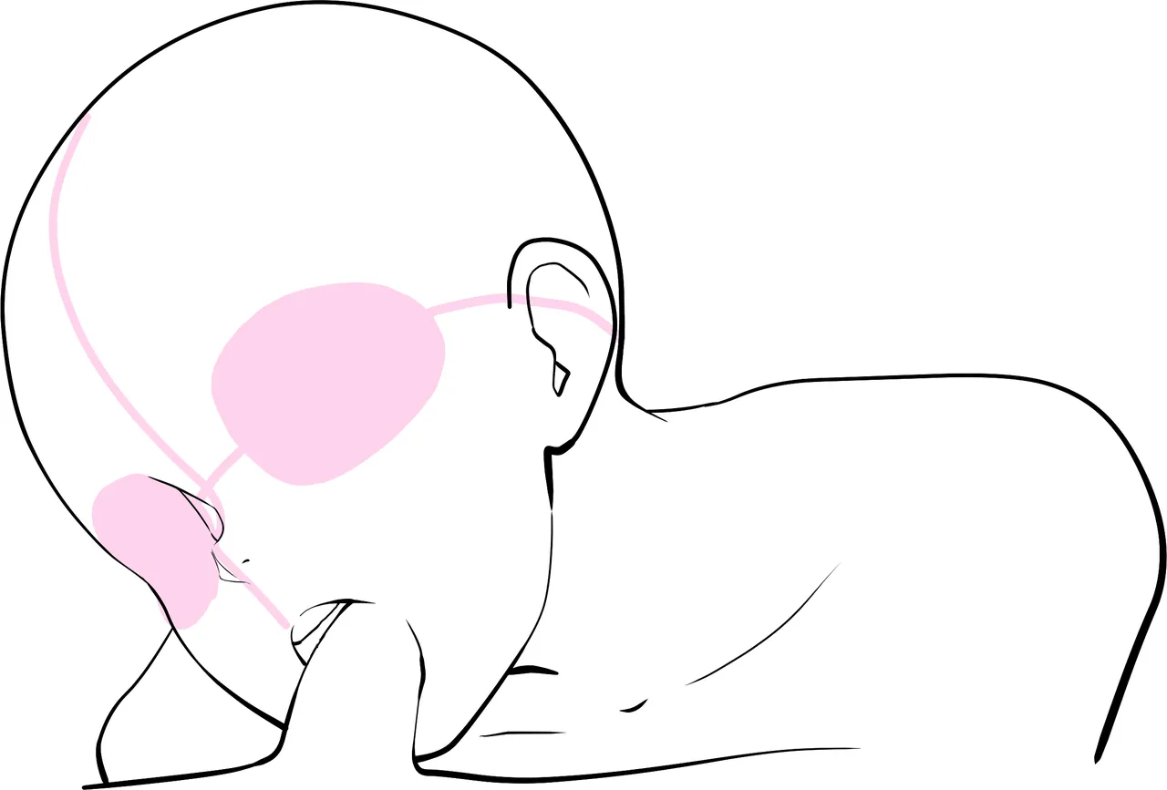 Lewd Mouth New Explanations Pose Collection Traceable - Image 138
