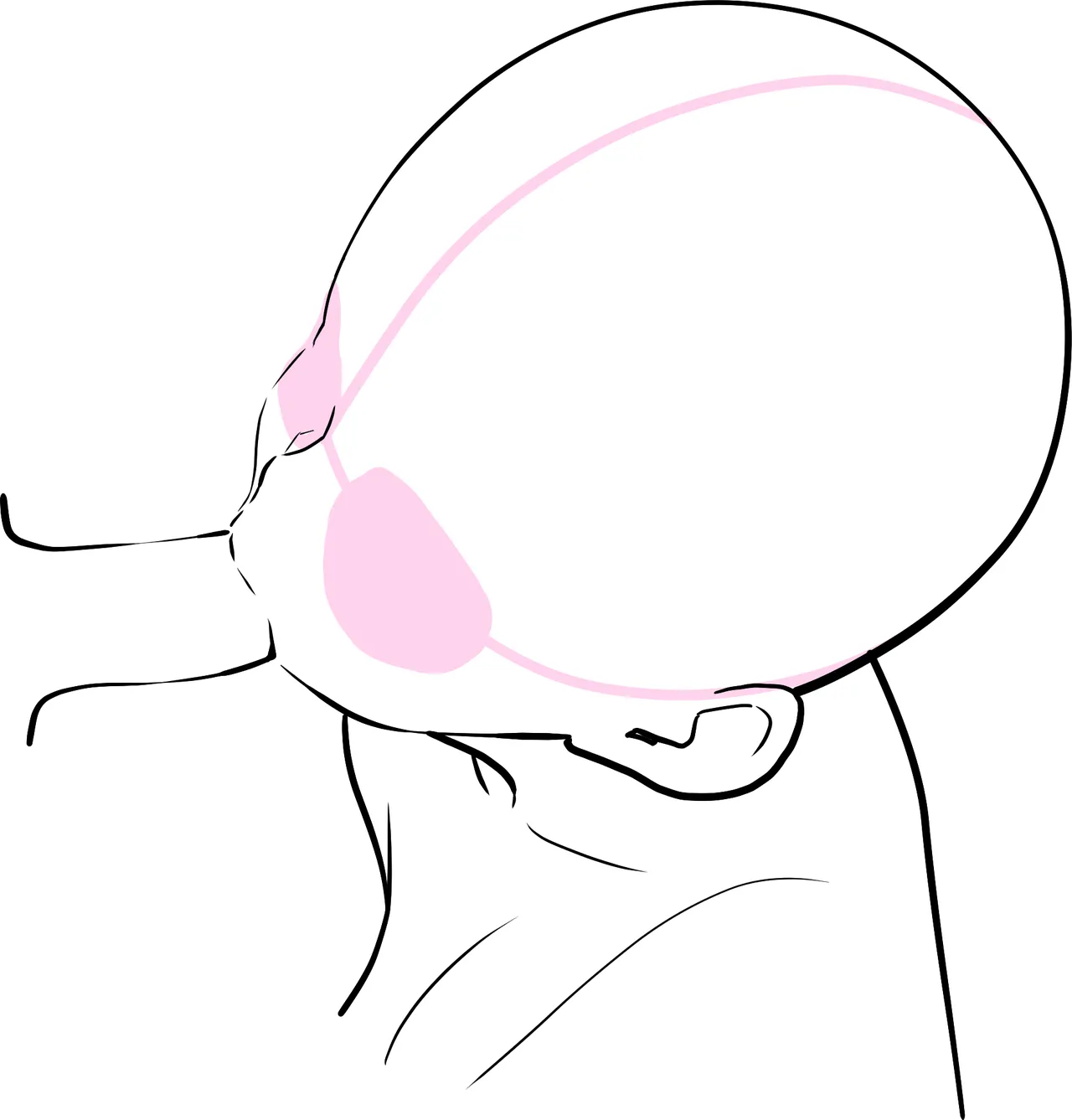 Lewd Mouth New Explanations Pose Collection Traceable - Image 143