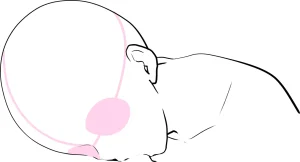 Lewd Mouth New Explanations Pose Collection Traceable - Page 134