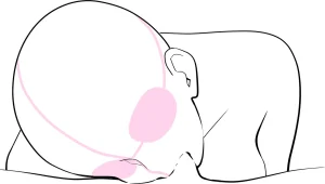 Lewd Mouth New Explanations Pose Collection Traceable - Page 137