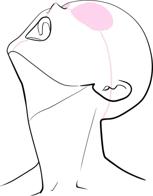 Lewd Mouth New Explanations Pose Collection Traceable - Page 6