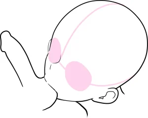 Lewd Mouth New Explanations Pose Collection Traceable - Page 68