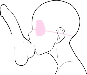 Lewd Mouth New Explanations Pose Collection Traceable - Page 81