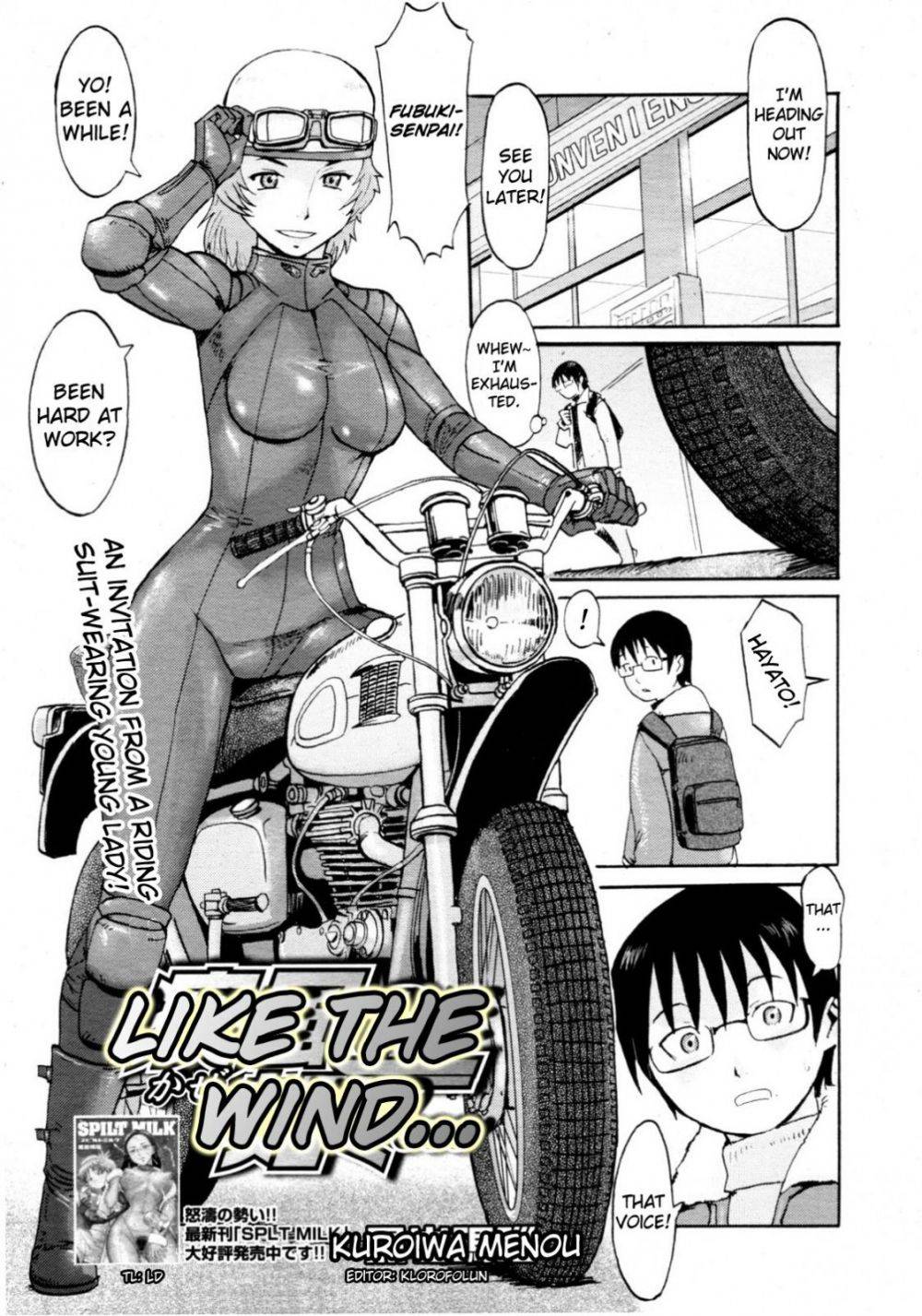 Like the Wind - Image 1