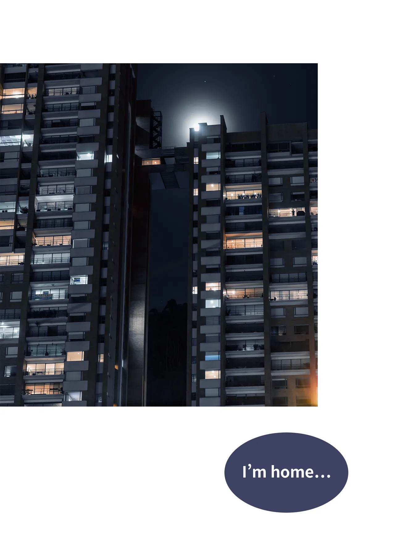 Lite Sex Change Notebook 1-4 Ogoing - Image 23