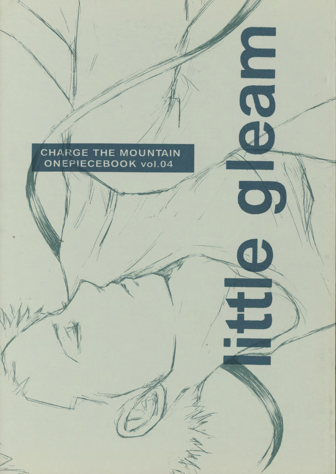 little gleam - Image 1