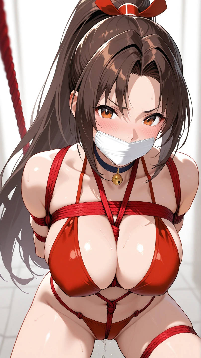 Mai Shiranui - Image 70