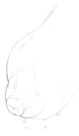 MAOTTHAT - Page 83