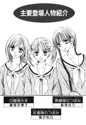Maria-sama ga Miteru Volume 30 - Page 8