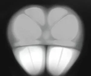 Mario Grant Get civilized, Nerd - Page 8