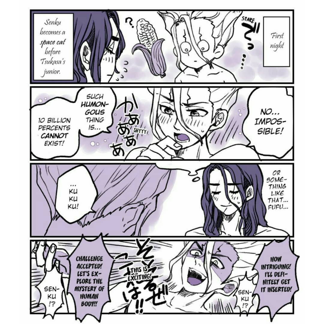 Maya TsukaSen Log Dr.STONE - Image 6