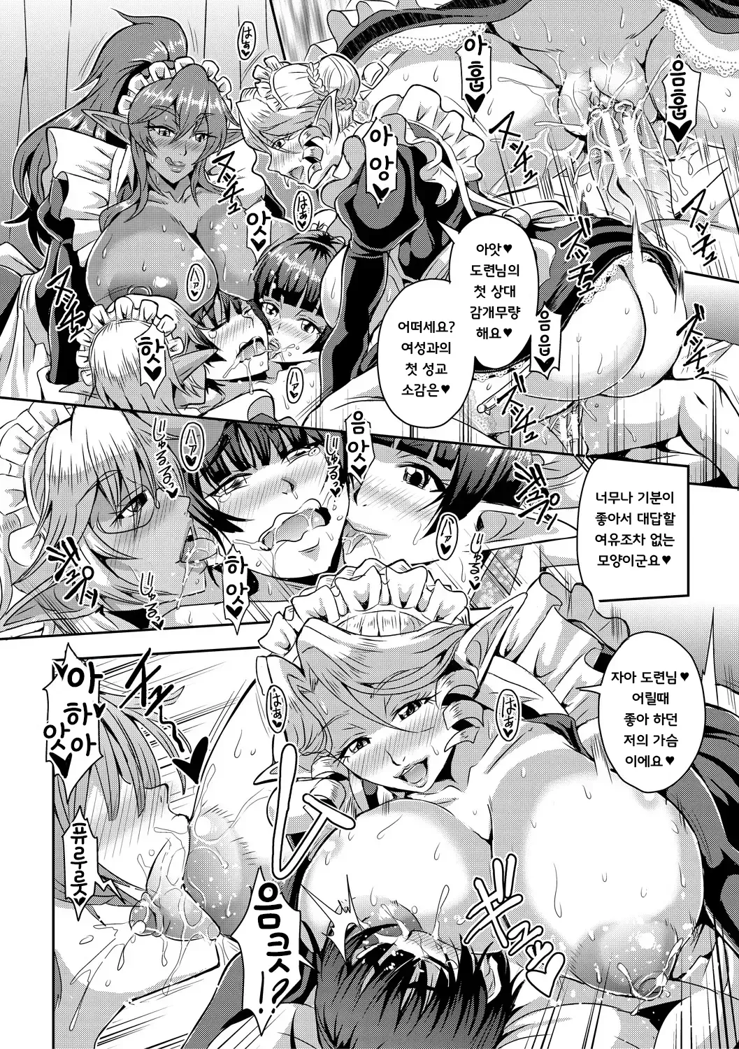 Mifune Seijirou Elf Harem Monogatari - Elf Harem Story Korean - Image 146