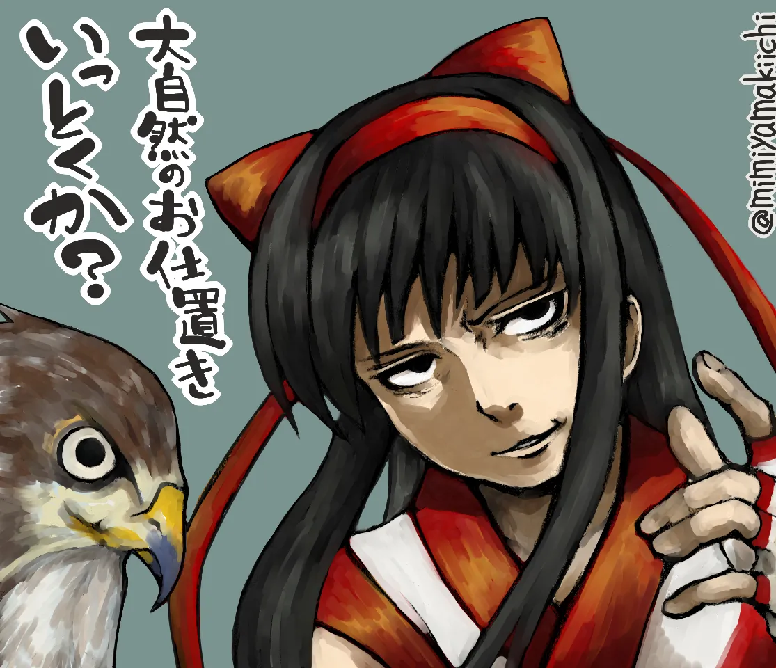 Mimiyama Kiichi Fighting game girls - Image 95