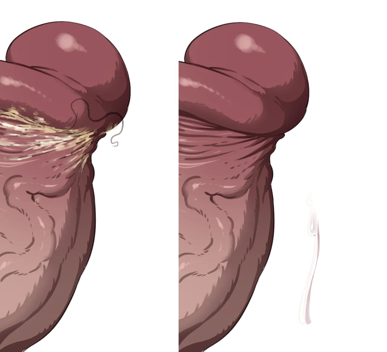 Misc - Musouduki Templates - Image 16