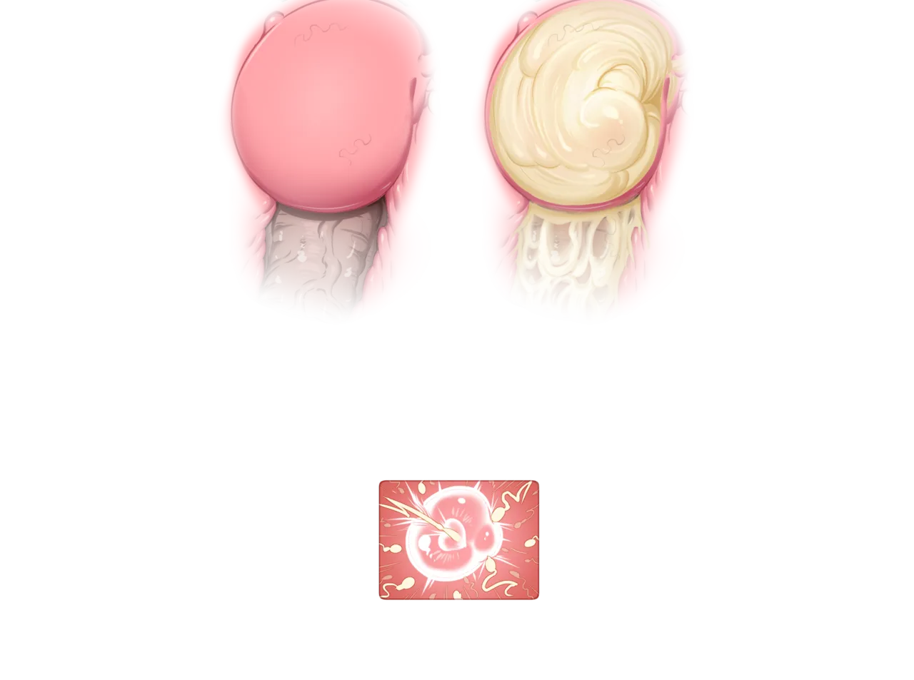 Misc - Musouduki Templates - Image 25