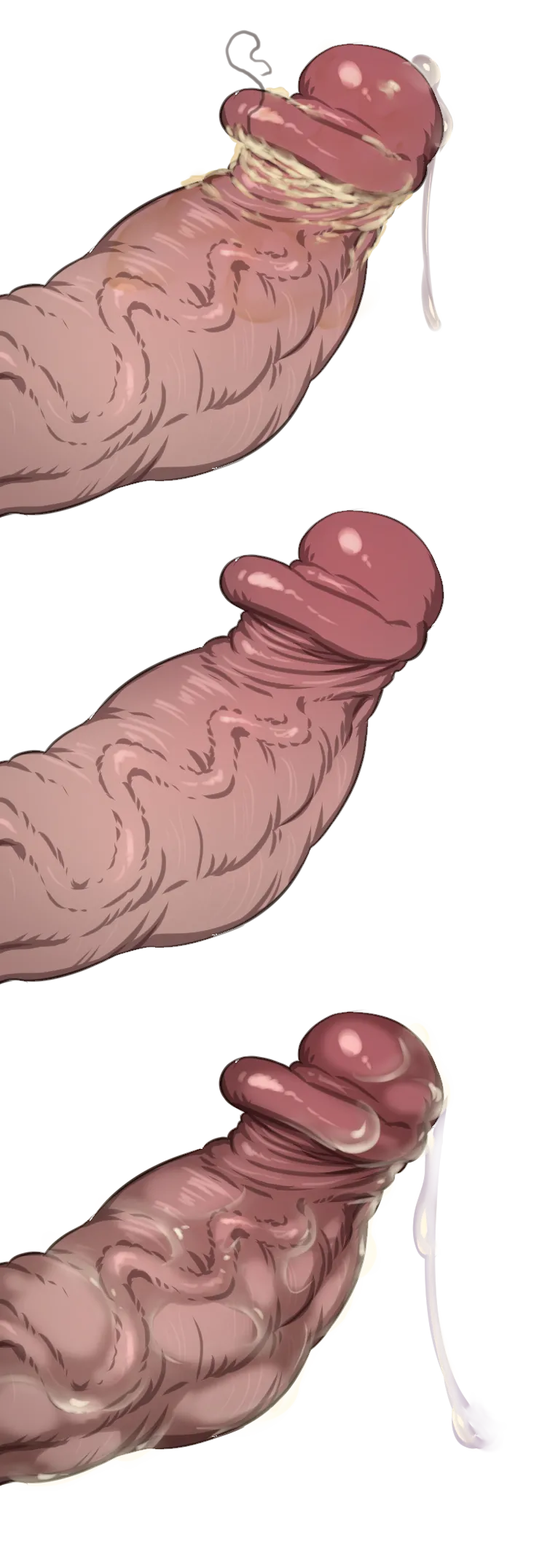 Misc - Musouduki Templates - Image 52