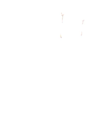 Misc - Musouduki Templates - Page 113