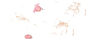 Misc - Musouduki Templates - Page 13