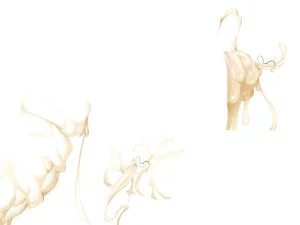 Misc - Musouduki Templates - Page 18