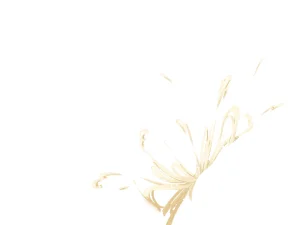 Misc - Musouduki Templates - Page 37