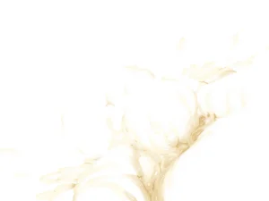 Misc - Musouduki Templates - Page 40