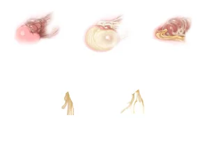 Misc - Musouduki Templates - Page 51