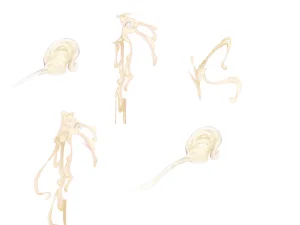 Misc - Musouduki Templates - Page 54