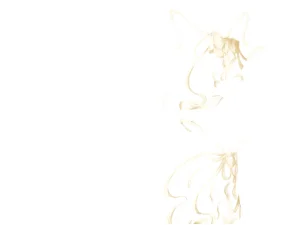 Misc - Musouduki Templates - Page 60