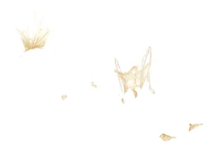 Misc - Musouduki Templates - Page 61