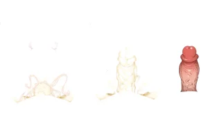 Misc - Musouduki Templates - Page 68