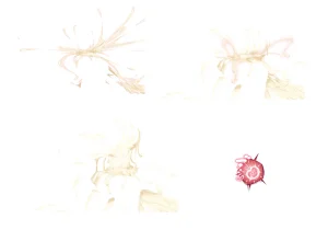 Misc - Musouduki Templates - Page 73