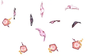 Misc - Musouduki Templates - Page 84