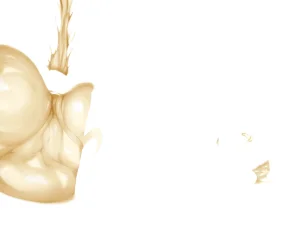 Misc - Musouduki Templates - Page 96