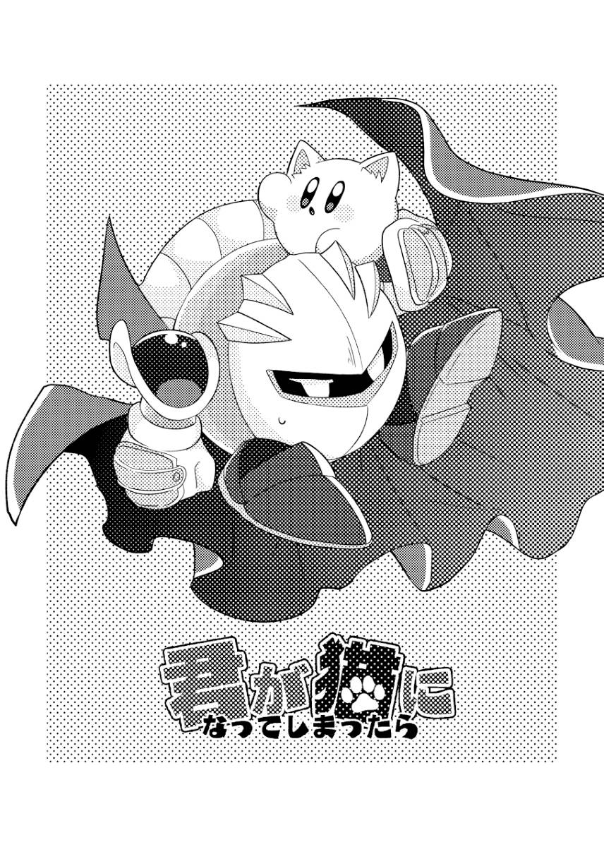 Mishiki If you turned into a cat Kirby of the Stars - Image 2