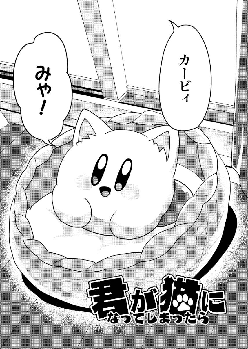 Mishiki If you turned into a cat Kirby of the Stars - Image 4